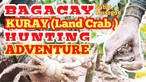 Part Bagacay Fishing Adventure Catching Kuray Land Crab Rabas