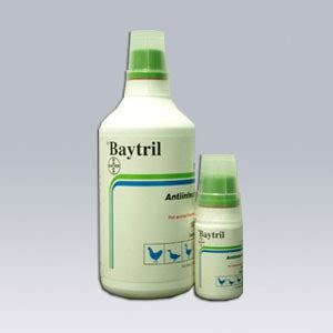 Jual Baytril Oral 10 Isi 1 Liter Antibiotik Enrofloxacine Untuk