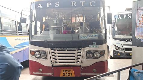 Tirumala Depot Bus Tirupati Bus Stand To Vellore Apsrtc Sapatagiri