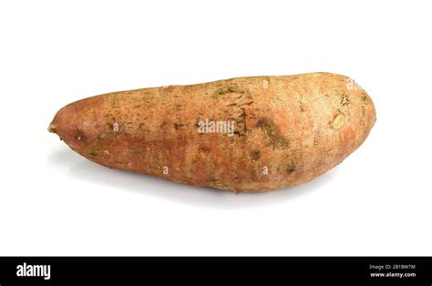 Sweet Potatoes Isolated On White Background Ipomoea Batatas Batata