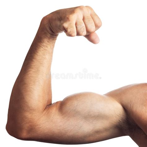 Bicep Isolated Stock Photo Image Of Fist Goodbody 6134118