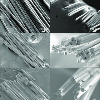 Sem Images Of The Surface Left And Cross Section Right Of The Dr