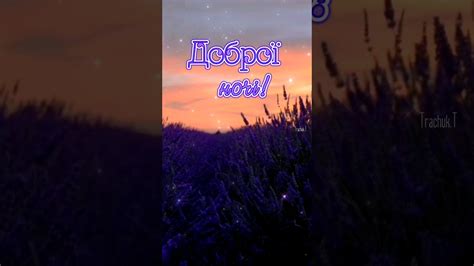 Доброї ночі! Приємних снів! На Добраніч! Солодких снів! Красиве ...