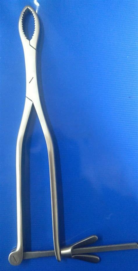 Hey Groves Bone Holding Forceps At Best Price In New Delhi By Divine