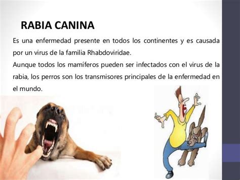 Rabia Canina