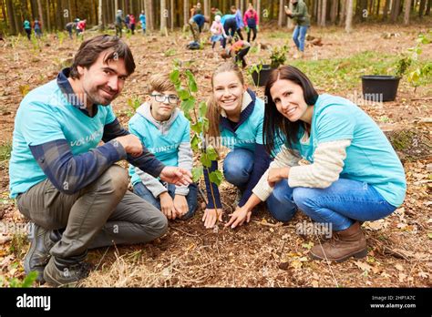 Familia con dos niños plantando un árbol como trabajo voluntario en la