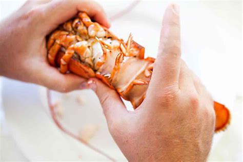 Boiled Lobster Recipe How To Cook And Eat Lobster