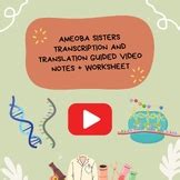 Simple DNA vs. RNA and Transcription Amoeba Sisters Video Worksheet