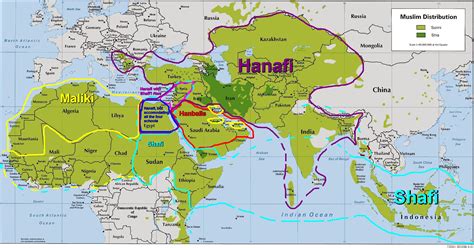 Sunni - Islam Wiki