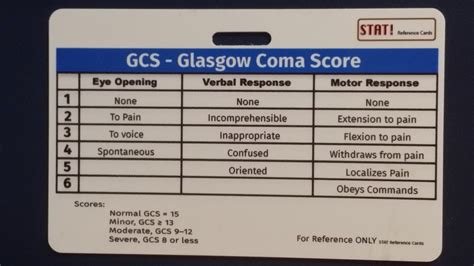 Gcs Id Reference Card By Statreference On Etsy