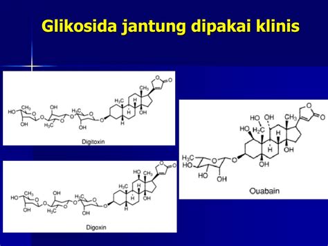 Ppt Obat Obat Sistem Kardiovaskular Dan Diuretik Powerpoint