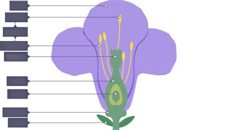 Biology Unit 1 Diagram Quizlet