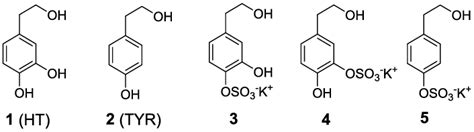 Structure Of Tyrosol TYR Hydroxytyrosol HT And Their Sulfate