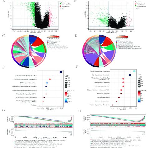 Degs And Functional Enrichment Analysis A B The Volcano Plot Shows Download Scientific