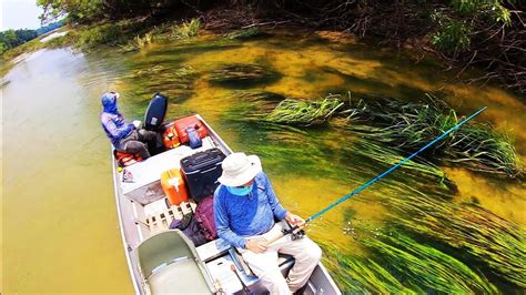 We Found Clear Creeks And Giant Fish Youtube