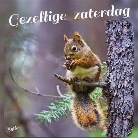 Pin Van Annelies Monsma Bruggers Op Goedemorgen Zaterdag Weekend