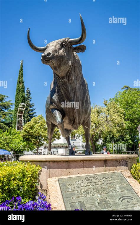 El Toro de Lidia, fighing bull, sculpture by the bullfighting arena in Ronda, Malaga Province ...