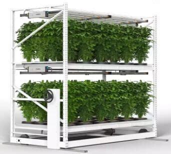 Multi Tiered Hydroponic Vertical Propagation Rack