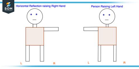 Horizontal Flip | Definition & Meaning