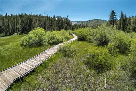 The Trail at Sand Pond in Northern California Stock Photo - Image of enormous, california: 188086024