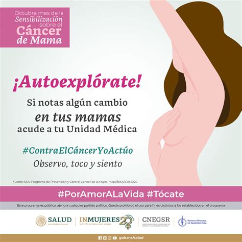 Estándar Regan Pantera campaña sobre el cancer de mama Pequeño Nominal ayer