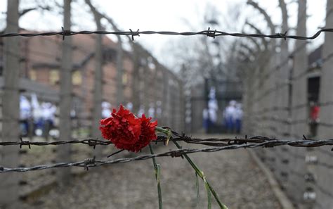 Giornata Della Memoria Anni Fa L Orrore Della Shoah Per Non