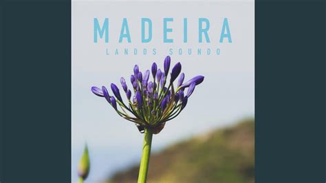 Madeira Youtube