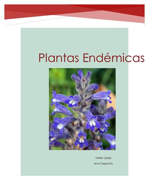 Calaméo Plantas Endémicas