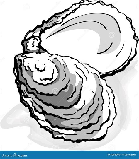 Oyster Seafood Shell Single Isolated Element Illustration Stock