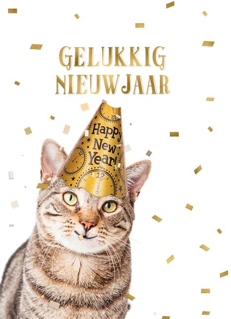 Nieuwjaar Kaart Kat Gelukkig Nieuwjaar Hallmark