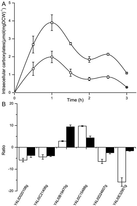 Time Courses Of Intracellular Carboxylate Content In Y Lipolytica