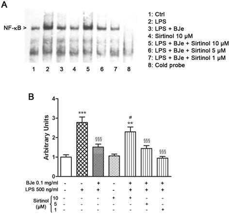 A Exposure Of Thp Cells To Mg Ml Bje Reduced Lps Induced Nf B