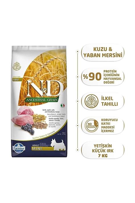 N D Nd Ancestral Grain Düşük Tahıllı Kuzu Etli Ve Yaban Mersinli Mini