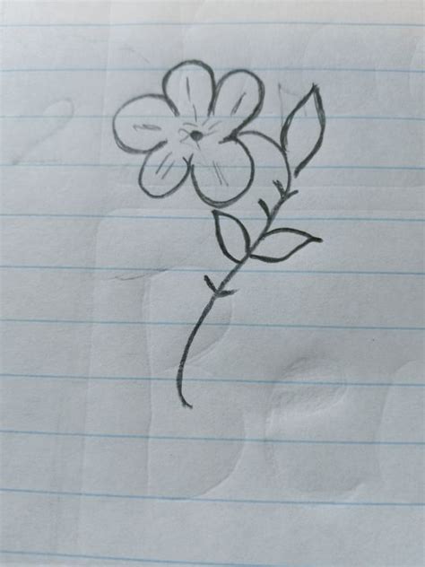 Easy Flower Pencil Drawing