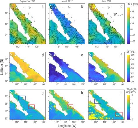 Sea Surface Height Anomalies Ssha And Geostrophic Flow Cms