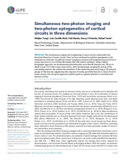 Pdf Simultaneous Two Photon Imaging And Two Photon Optogenetics Of