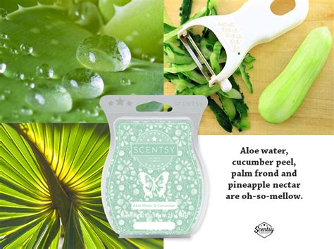 Aloe Water And Cucumber Scentsy Fresh Fall Winter Scentsy