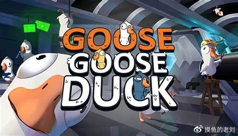 Goose Goose Duck鹅鸭杀下载注册攻略 注册失败解决办法鹅鸭注册攻略新浪新闻