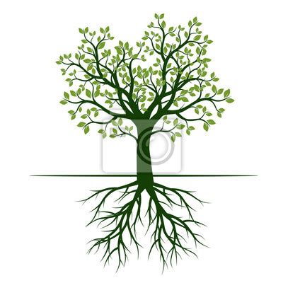 Green Spring Tree With Roots Vector Illustration Posters For The Wall