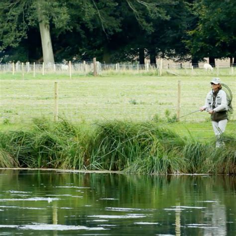 Avington Trout Fishery | Fisheries.co.uk