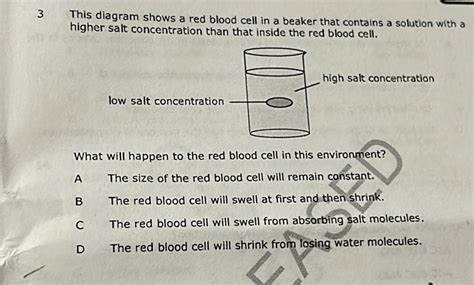 3 This Diagram Shows A Red Blood Cell In A Beaker That Contains A