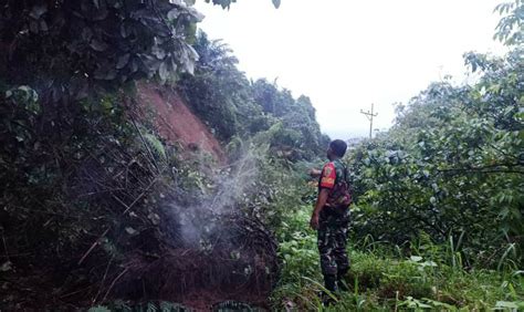 Jalan Lintas Curup Lubuk Linggau Tertimbun Longsor