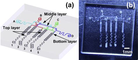 A Design Of A Microfluidic Chip Composed Of A Complex D Microfluidic