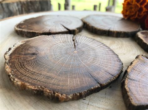 Oak Wood Slices Rustic Wood Slices Etsy