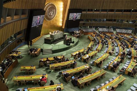 Relatores De La Onu Piden Al Mundo Seguir Los Pasos De España Y