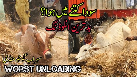 Unloading Gone Wrong Soda Kitne Mai Hua Karachi Mandi Scnz 4