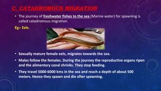 Migration & Types of Migration by D.Ram Kumar | PPT