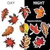 Amazon Whaline Pcs Fall Maple Leaf Reflective Car Magnets