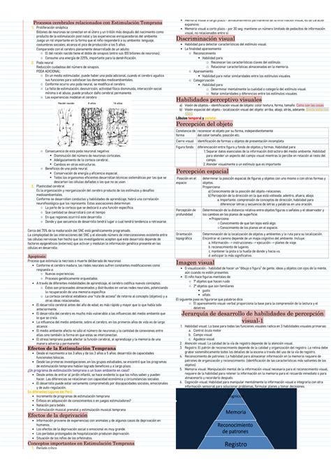 SOLUTION Neurodesarrollo E Intervenci N Temprana Principios De