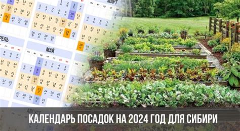 Лунный посевной календарь 2024 таблица посева и посадок для дачника и